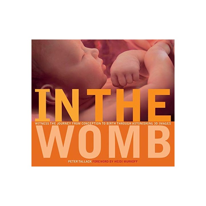 In the Womb: Witness the Journey from Conception to Birth through Astonishing 3D Images